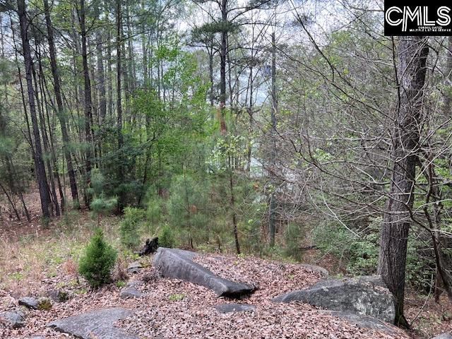 280 General Sumter Drive  Photo 8