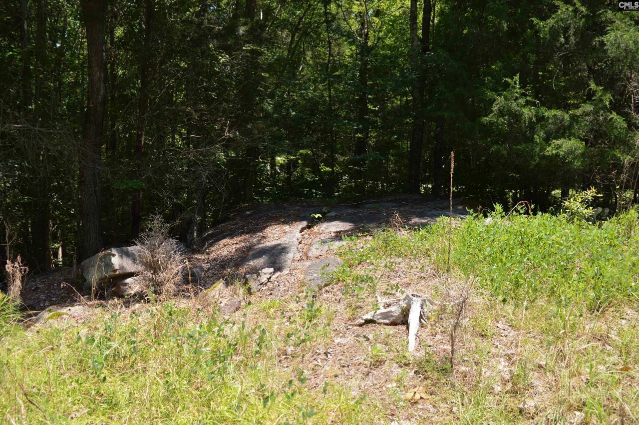 280 General Sumter Drive  Photo 9