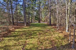 1020 Cedar Creek Road photo 4