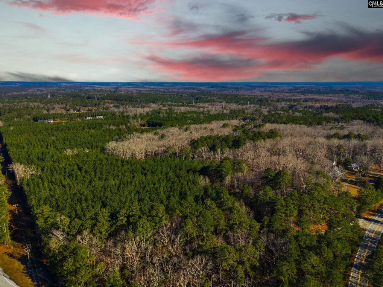 1020 Cedar Creek Road Photo 4