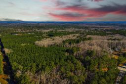 1020 Cedar Creek Road photo 4