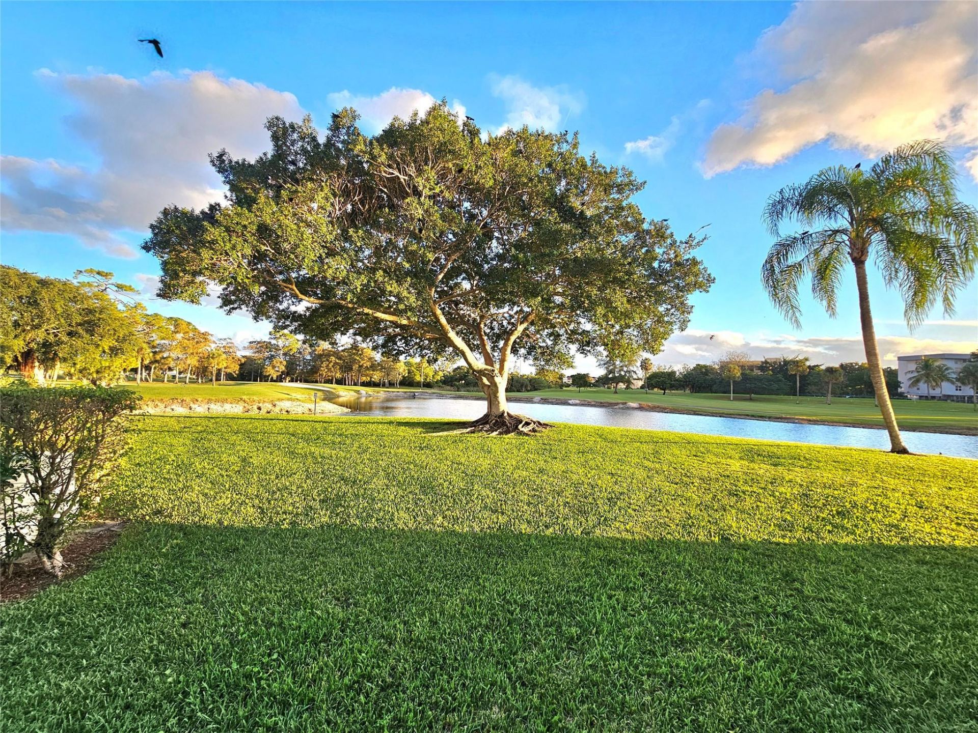 1460 NW 80th Avenue, Unit 101, Margate, FL 33063 Photo