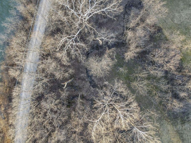 14753 State Route 37 E, Crooksville, OH 43731 Photo 78