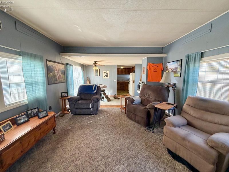 5255 County Road 177, Clyde, OH 43410 Photo 16