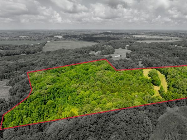 00 JIM HARDISTER Road, Whiteville, TN 38075