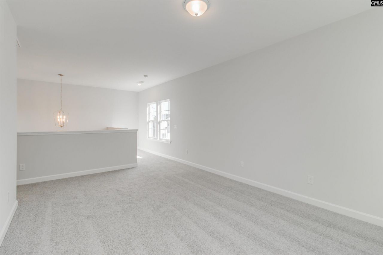 250 Horse Farm Place Photo 28