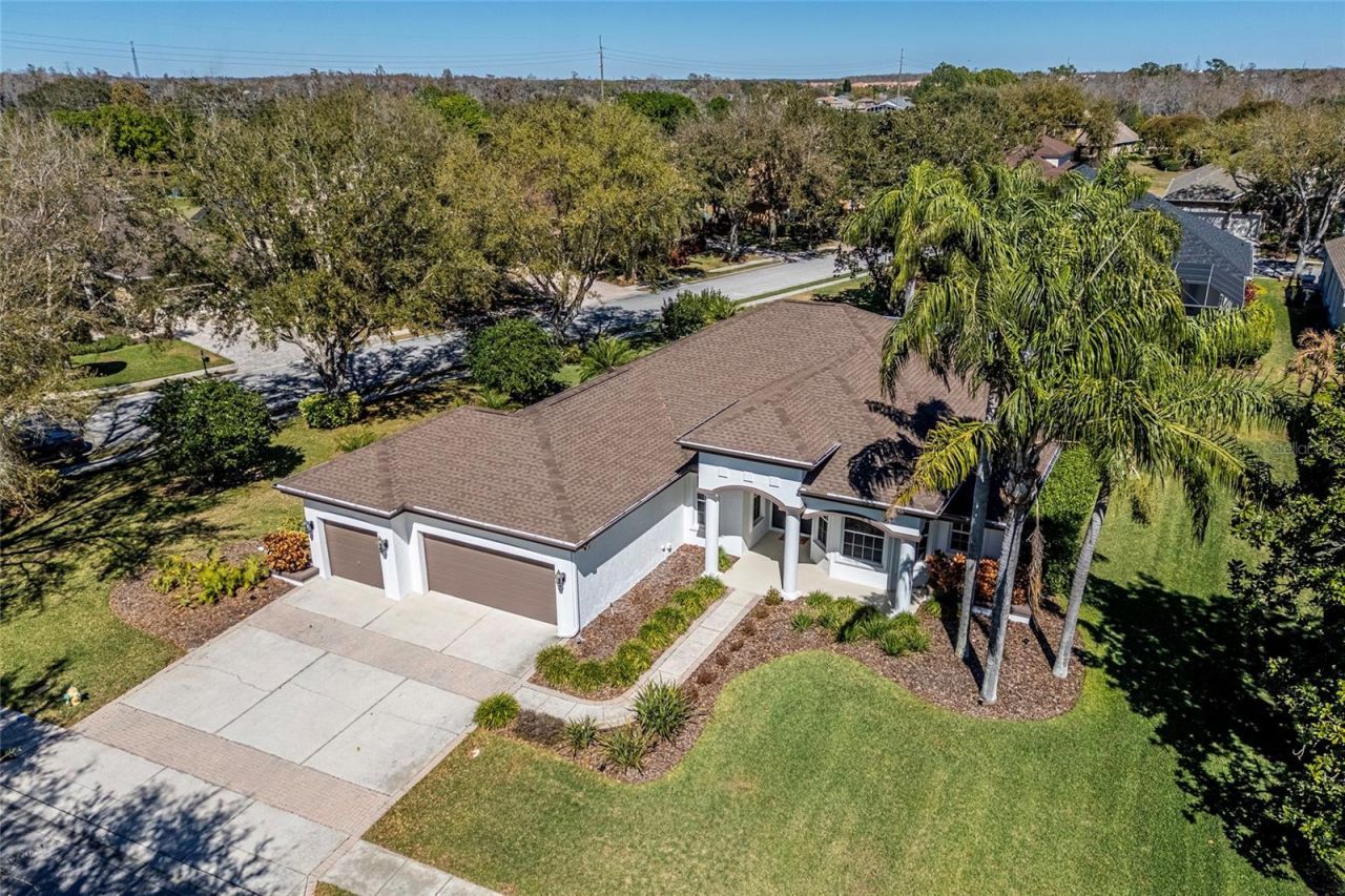 1543 Parilla Circle, New Port Richey, FL 34655 Photo