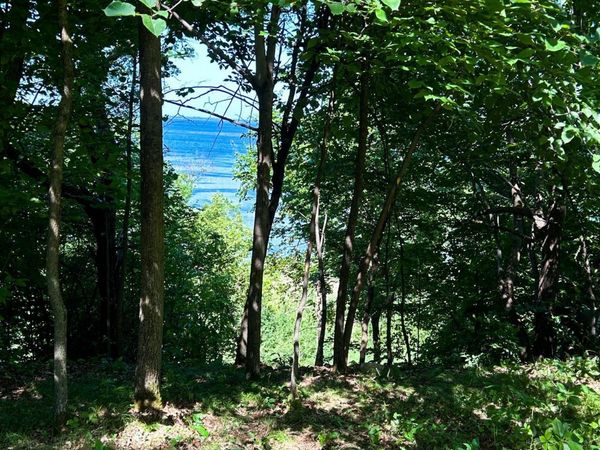 49137 360th Street , New York Mills, MN 56567