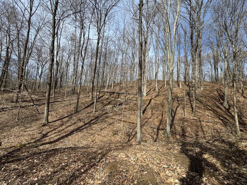 7507 Township Rd 215-A SE, Unit (Tract 3 a, Corning, OH 43730 Photo 11