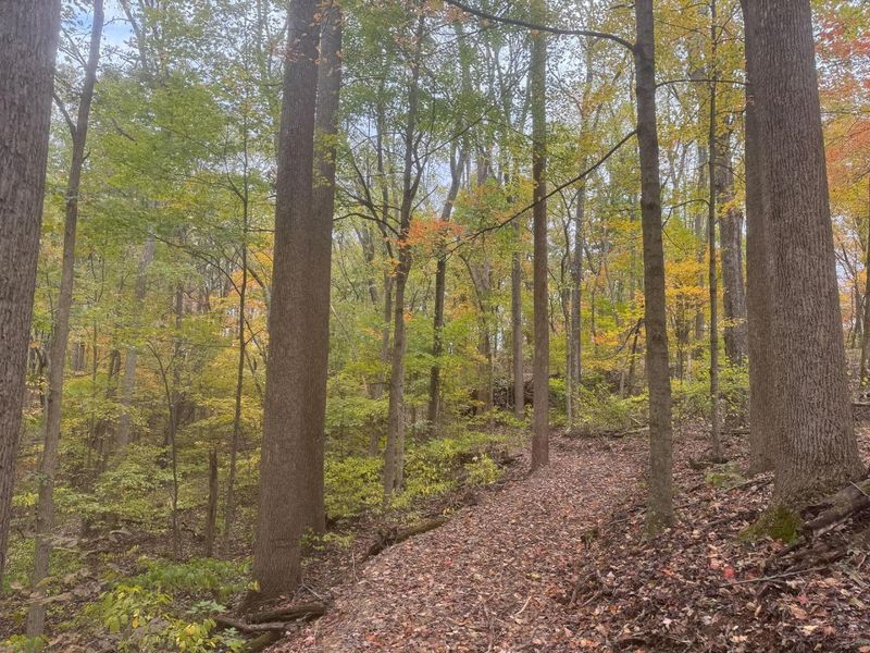 7507 Township Rd 215-A SE, Unit (Tract 3 a, Corning, OH 43730 Photo 15