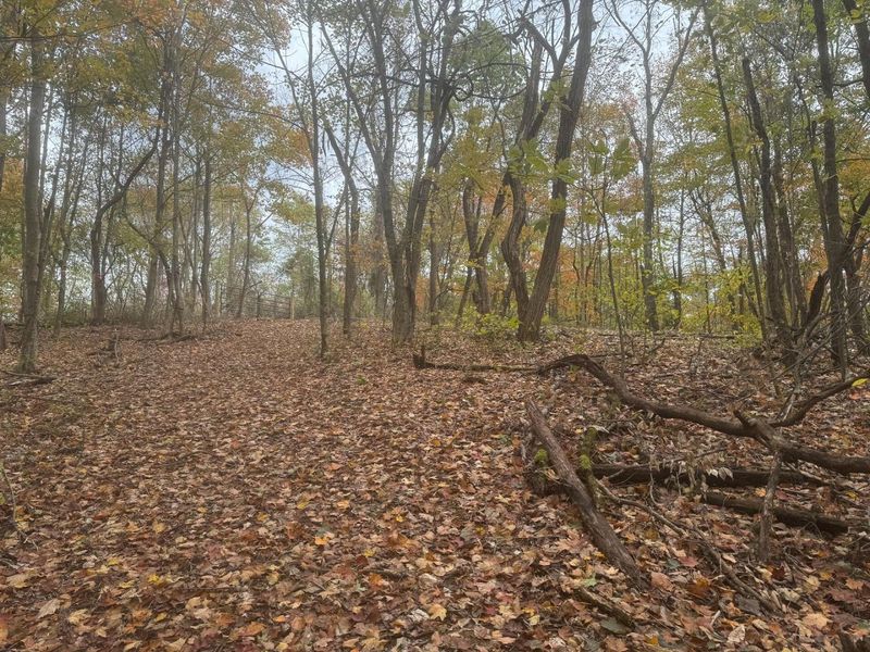 7507 Township Rd 215-A SE, Unit (Tract 3 a, Corning, OH 43730 Photo 16