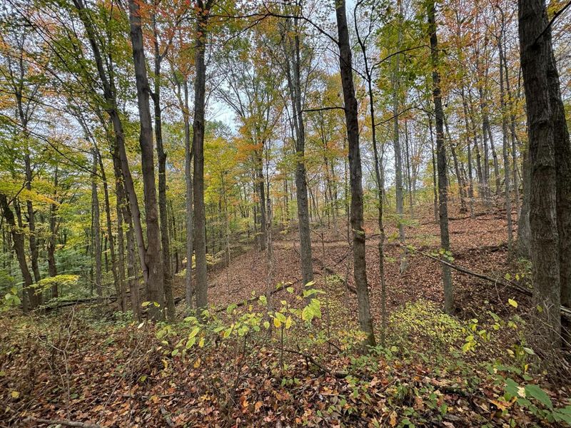 7507 Township Rd 215-A SE, Unit (Tract 3 a, Corning, OH 43730 Photo 17