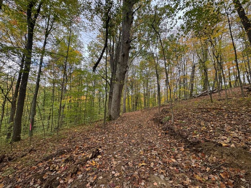 7507 Township Rd 215-A SE, Unit (Tract 3 a, Corning, OH 43730 Photo 18