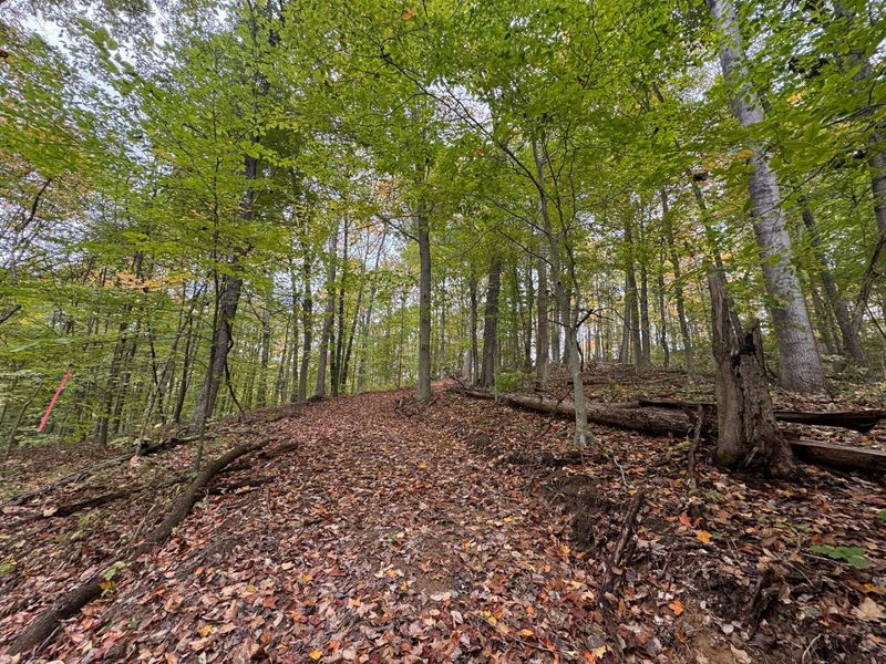 7507 Township Rd 215-A SE, Unit (Tract 3 a, Corning, OH 43730 Photo 19