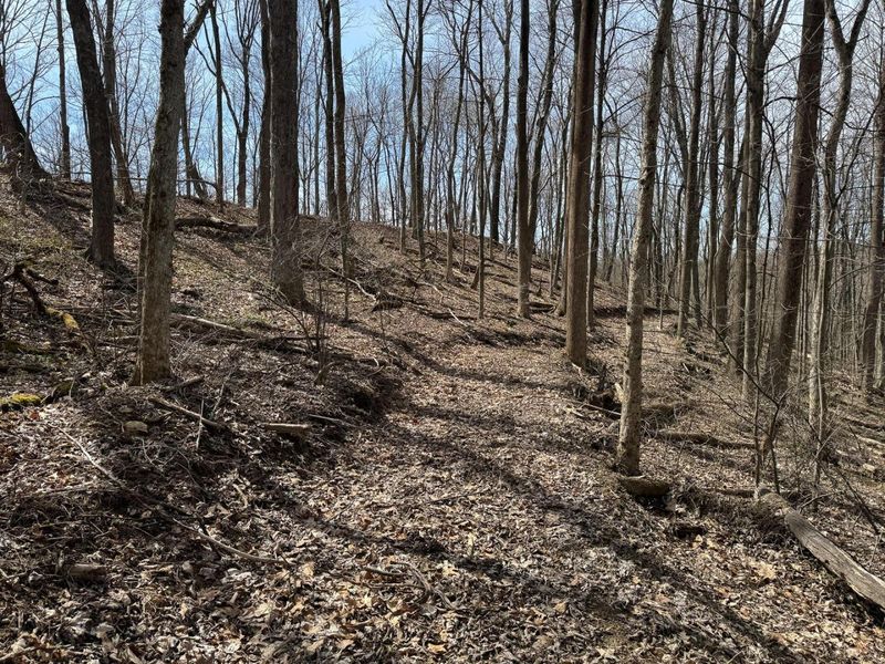 7507 Township Rd 215-A SE, Unit (Tract 3 a, Corning, OH 43730 Photo 20