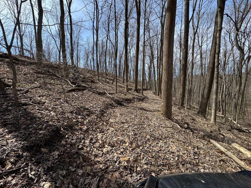 7507 Township Rd 215-A SE, Unit (Tract 3 a, Corning, OH 43730 Photo 21