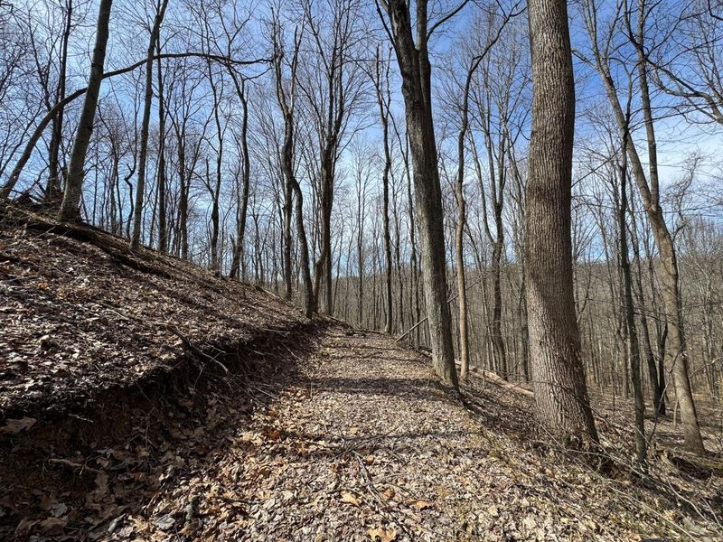 7507 Township Rd 215-A SE, Unit (Tract 3 a, Corning, OH 43730 Photo 22