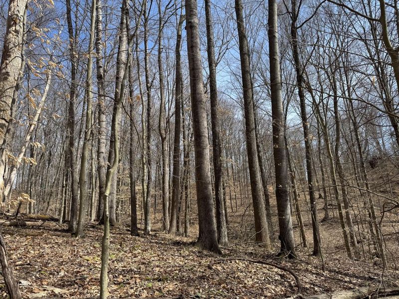 7507 Township Rd 215-A SE, Unit (Tract 3 a, Corning, OH 43730 Photo 23