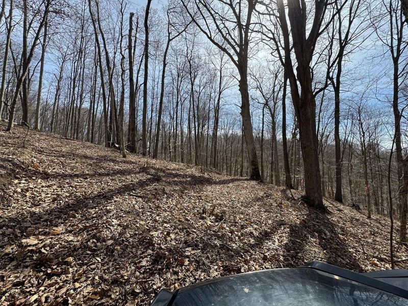 7507 Township Rd 215-A SE, Unit (Tract 3 a, Corning, OH 43730 Photo 24