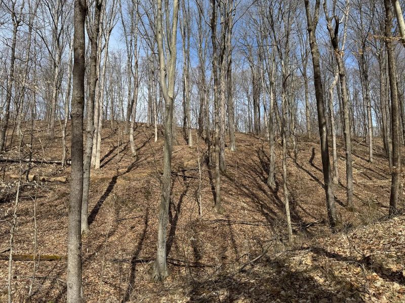 7507 Township Rd 215-A SE, Unit (Tract 3 a, Corning, OH 43730 Photo 25