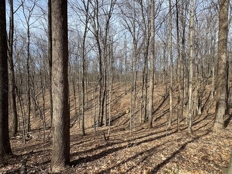 7507 Township Rd 215-A SE, Unit (Tract 3 a, Corning, OH 43730 Photo 26