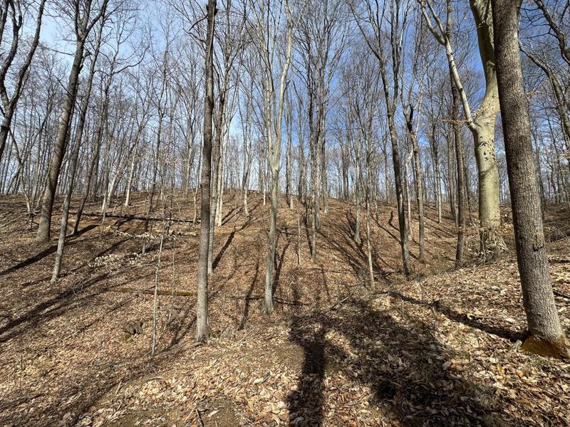 7507 Township Rd 215-A SE, Unit (Tract 3 a, Corning, OH 43730 Photo 27