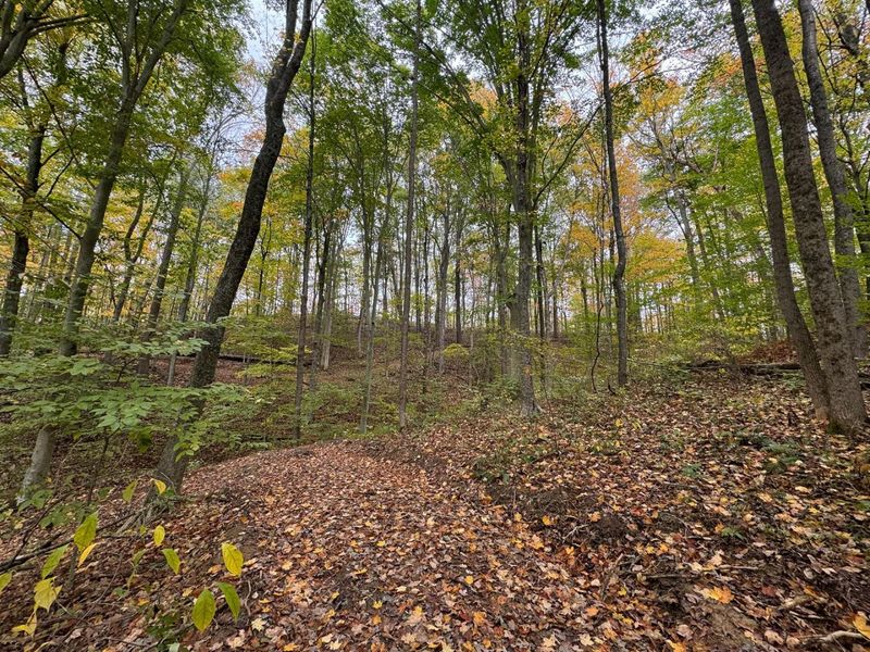 7507 Township Rd 215-A SE, Unit (Tract 3 a, Corning, OH 43730 Photo 4