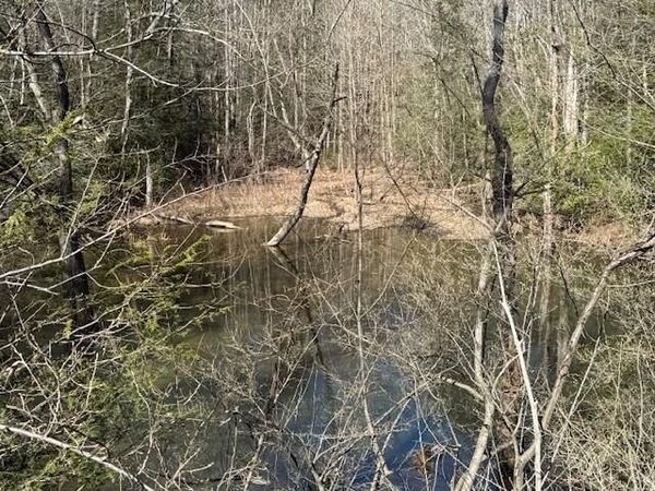 2.00 Red Rock Canyon Road, Graysville, TN 37338