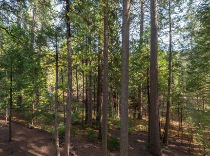 485 Moran Rd, Arnold, CA 95223 Photo