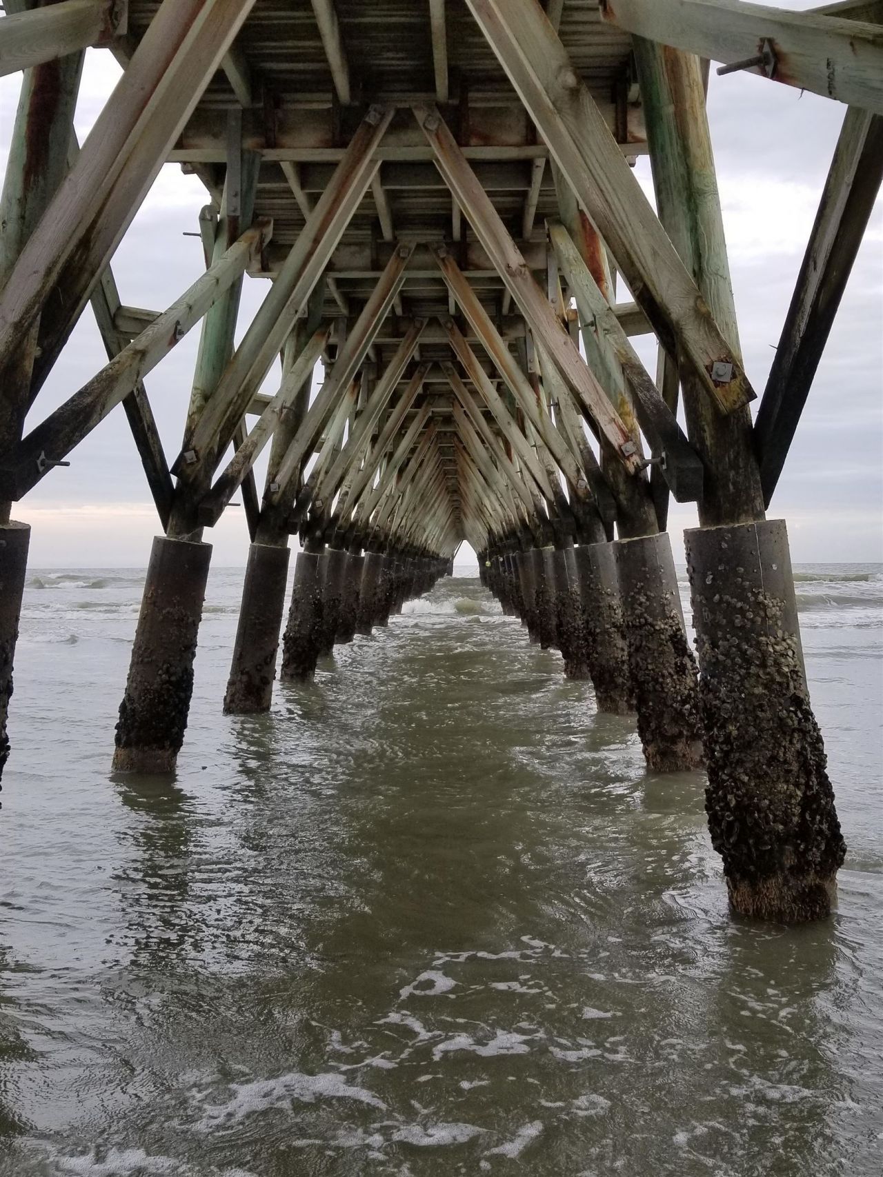 600 Annese Dr. Photo 39