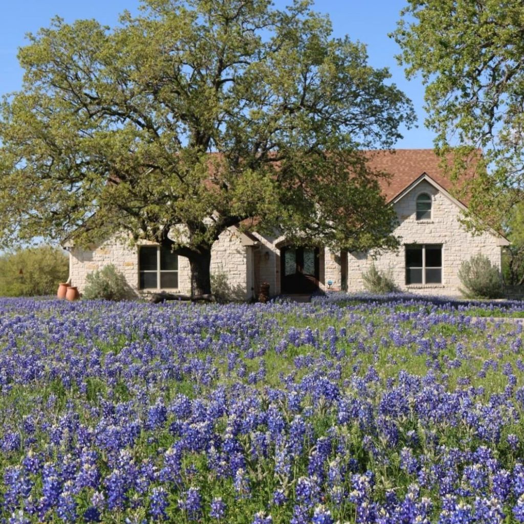 120 Oak Meadow Trl, Spicewood, TX 78669 Main Photo