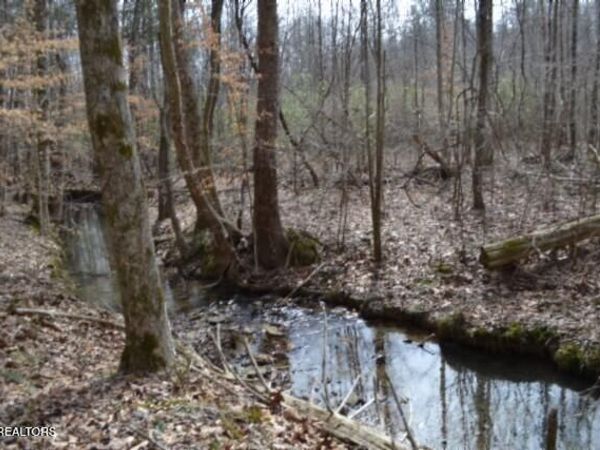 87+/- Boles Rd Rd, Hilham, TN 38568