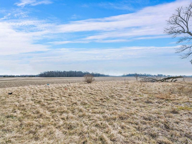 16355 Township Highway 96, Upper Sandusky, OH 43351 Photo 6