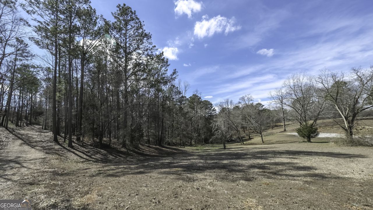 0 County Road 243, Wedowee, AL 36278 Main Photo