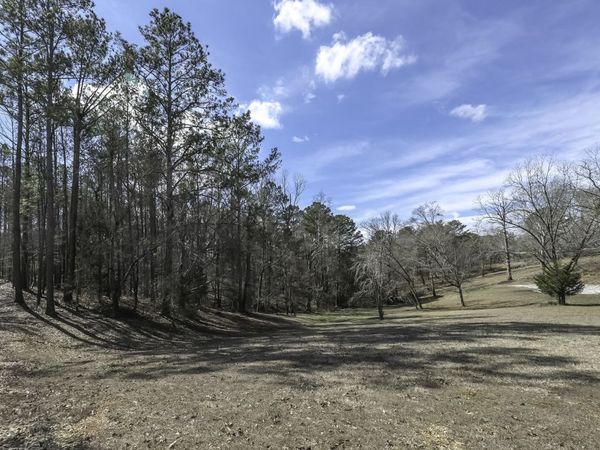 0 County Road 243, Wedowee, AL 36278