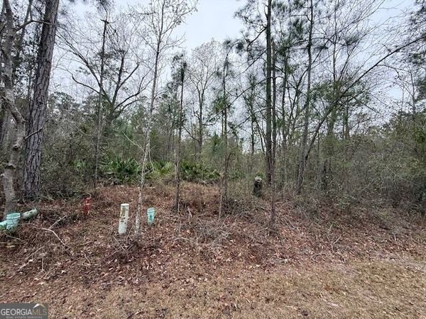 V/L 104 Satilla River Landing, Woodbine, GA 31569