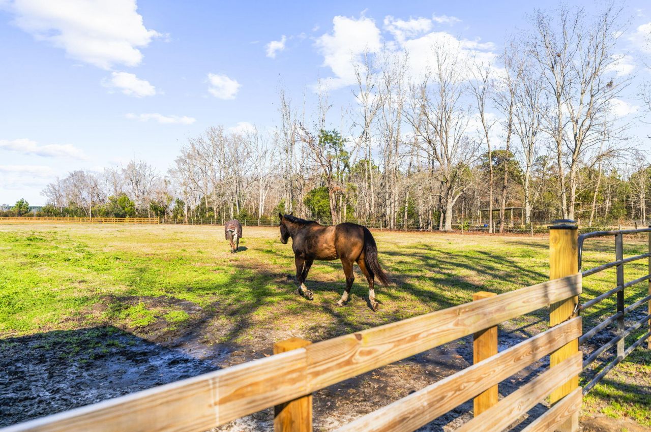163 Keans Neck Road Photo 11