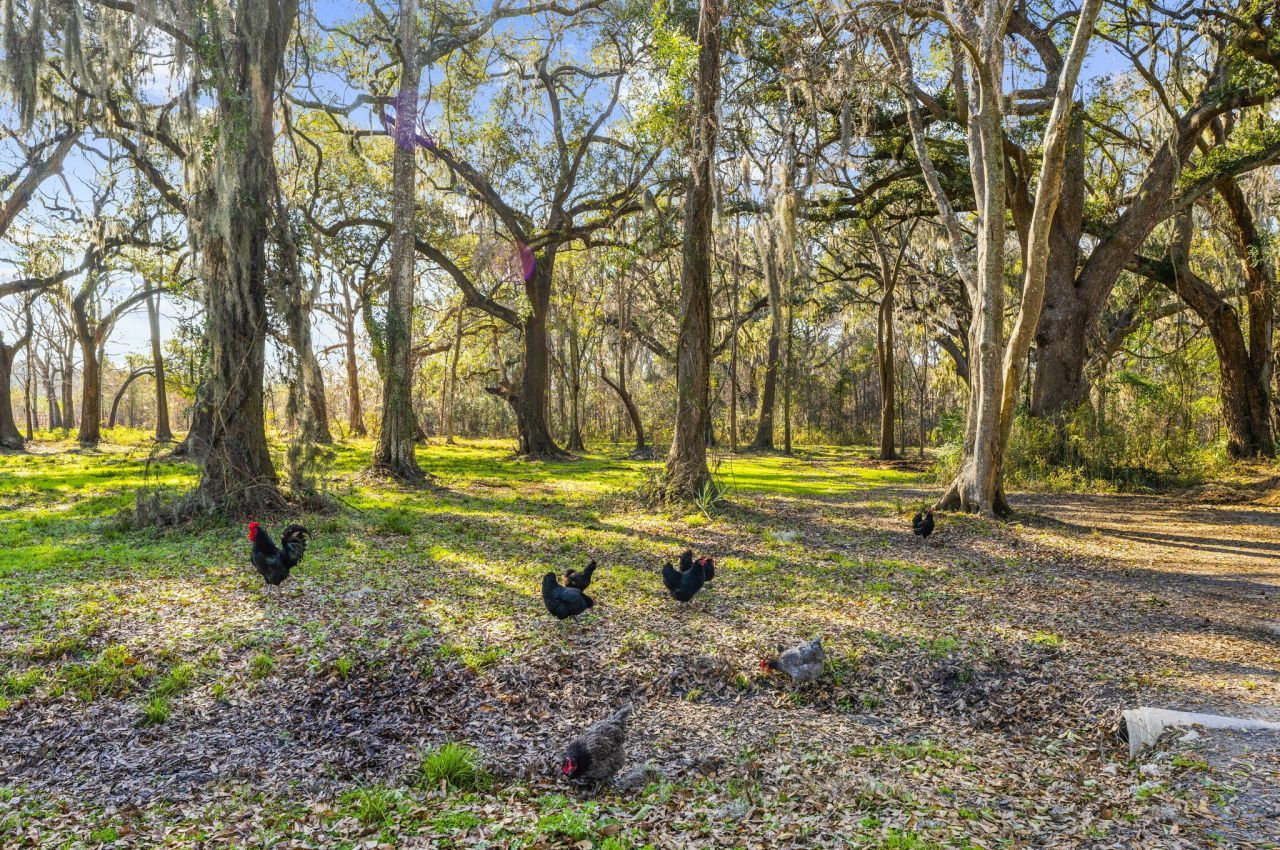 163 Keans Neck Road Photo 12