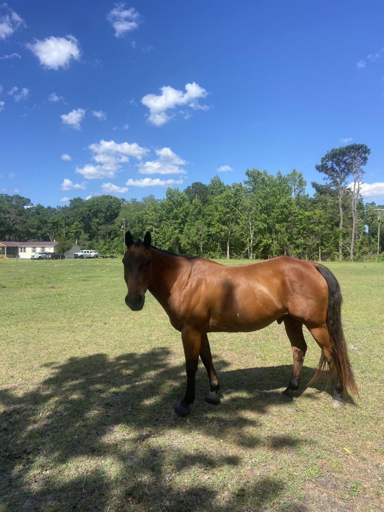 163 Keans Neck Road Photo 31