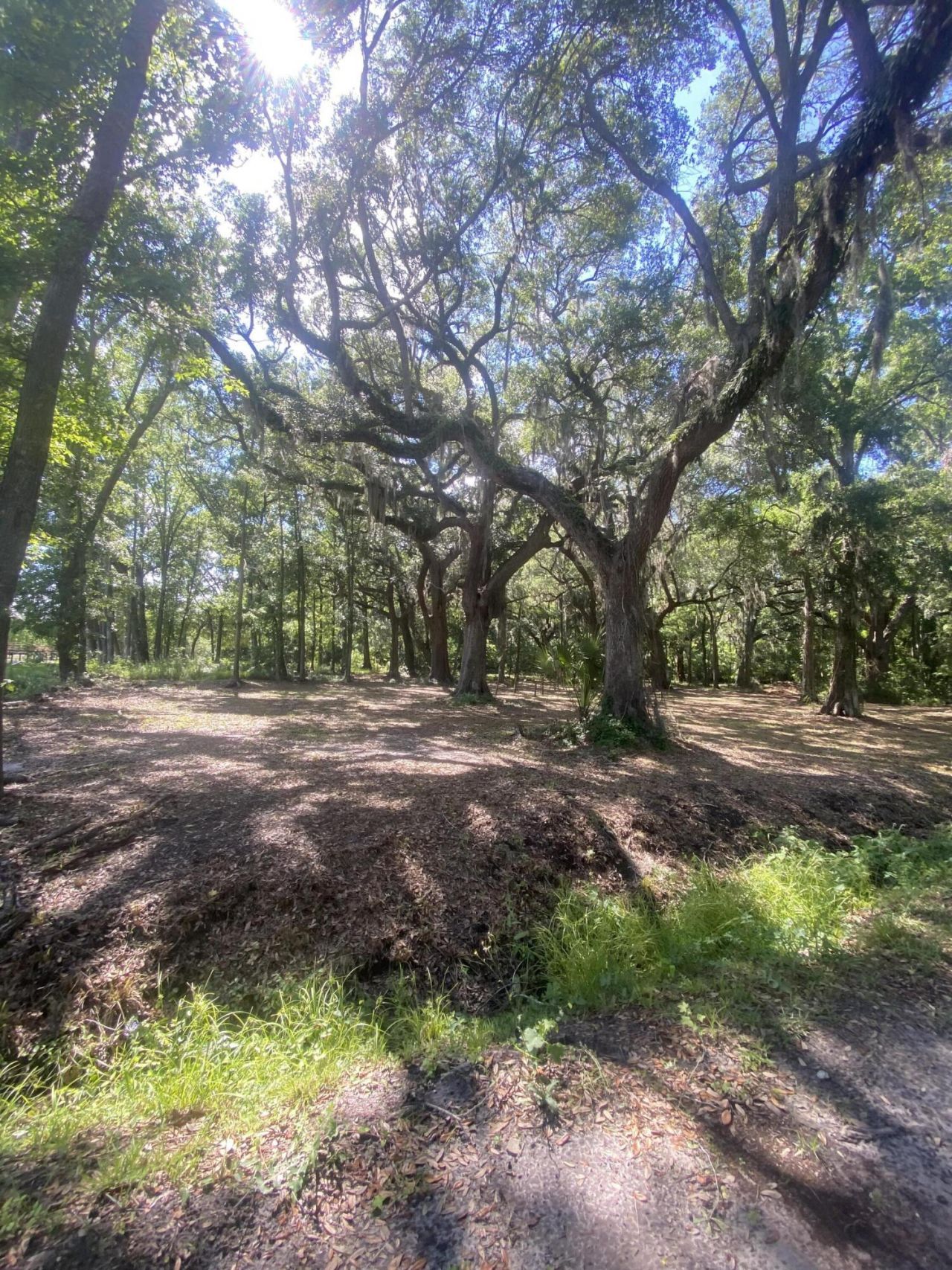 163 Keans Neck Road Photo 32