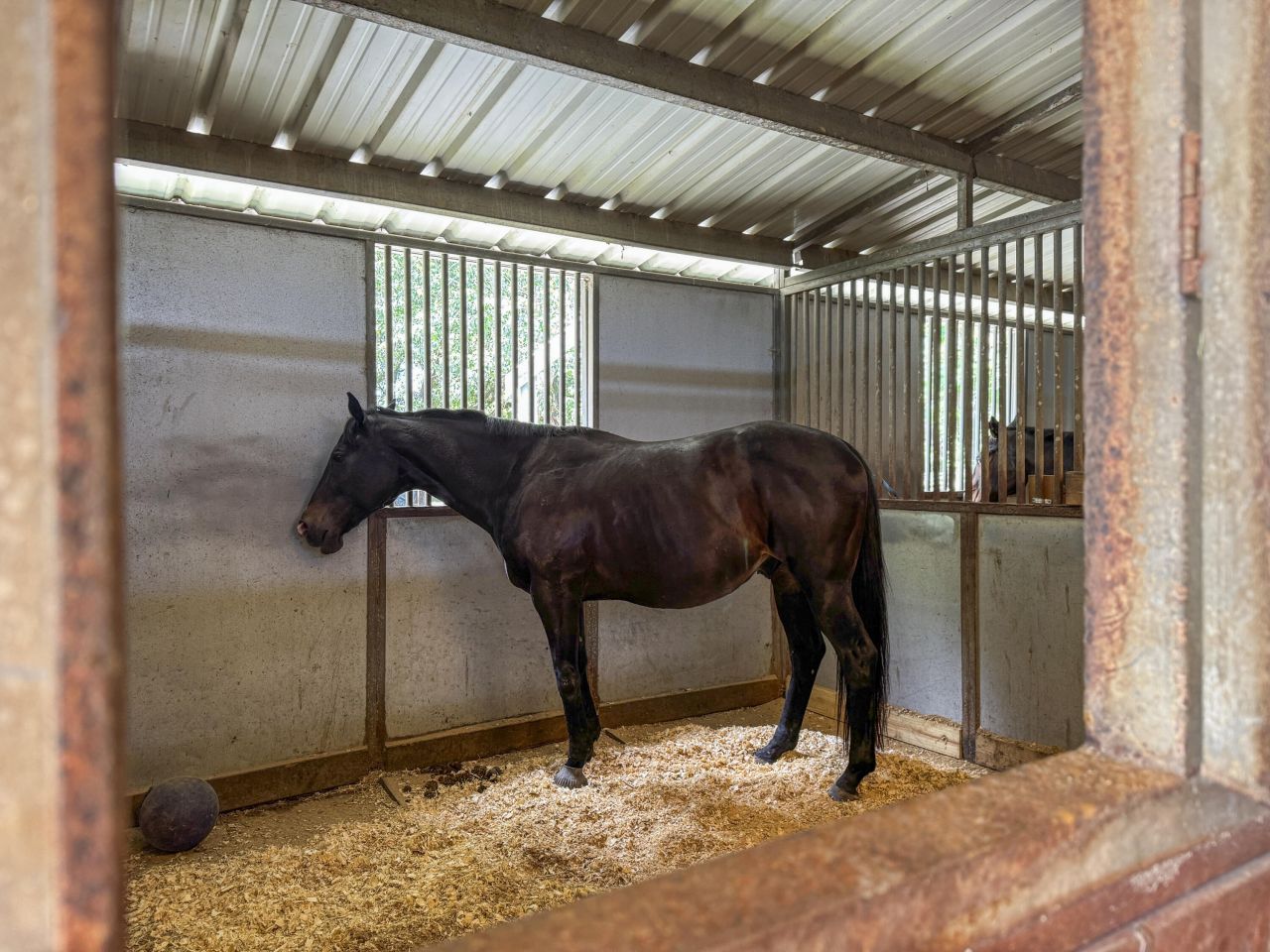 163 Keans Neck Road Photo 55