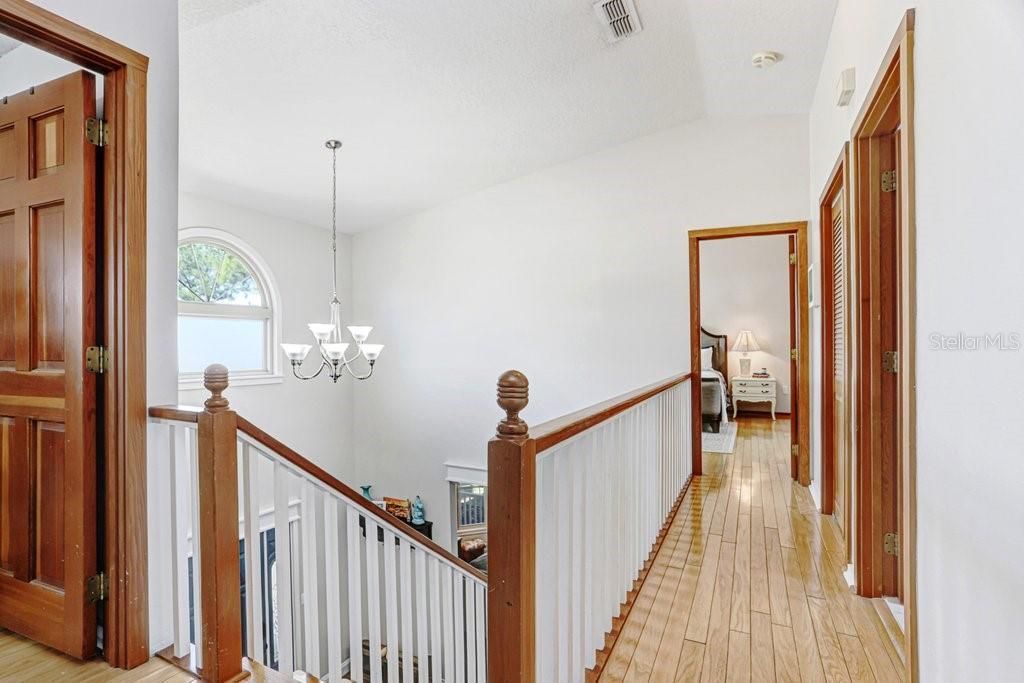 12508 Twin Branch Acres Road, Tampa, FL 33626 Photo