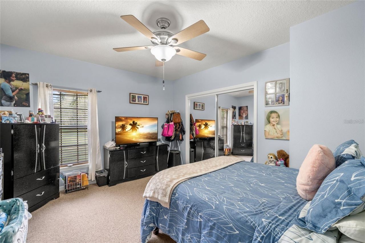 12508 Twin Branch Acres Road, Tampa, FL 33626 Photo