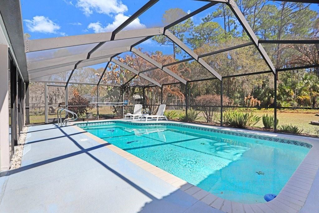 12508 Twin Branch Acres Road, Tampa, FL 33626 Photo