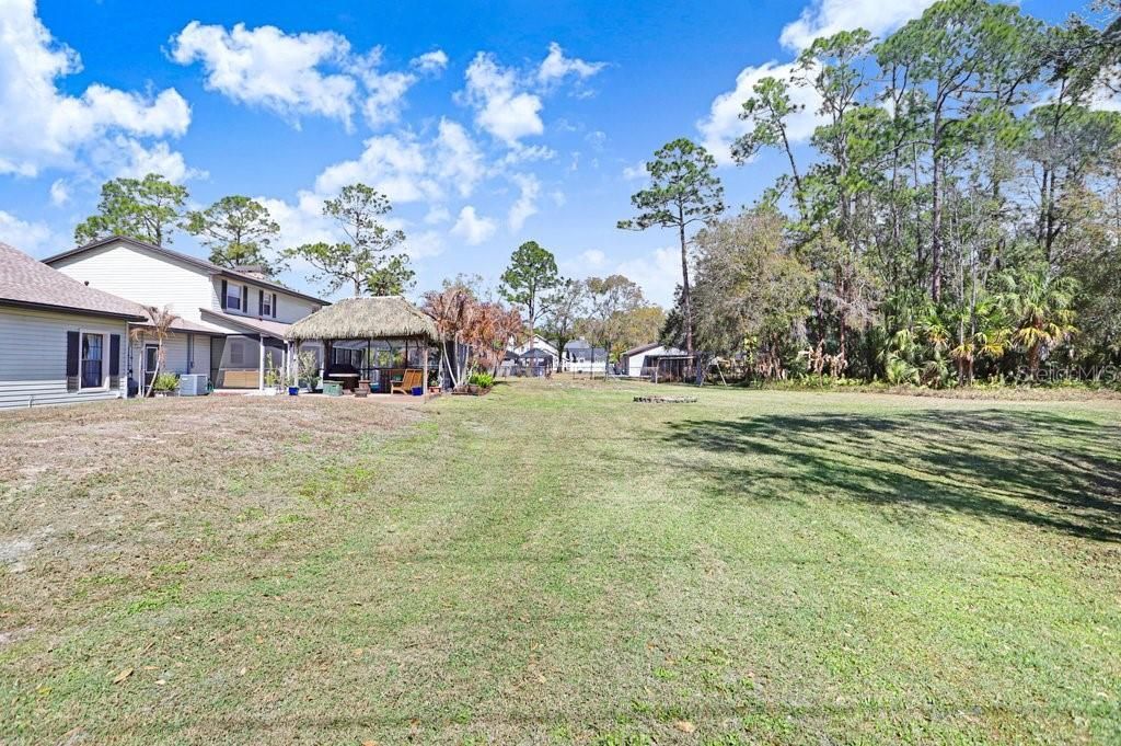 12508 Twin Branch Acres Road, Tampa, FL 33626 Photo