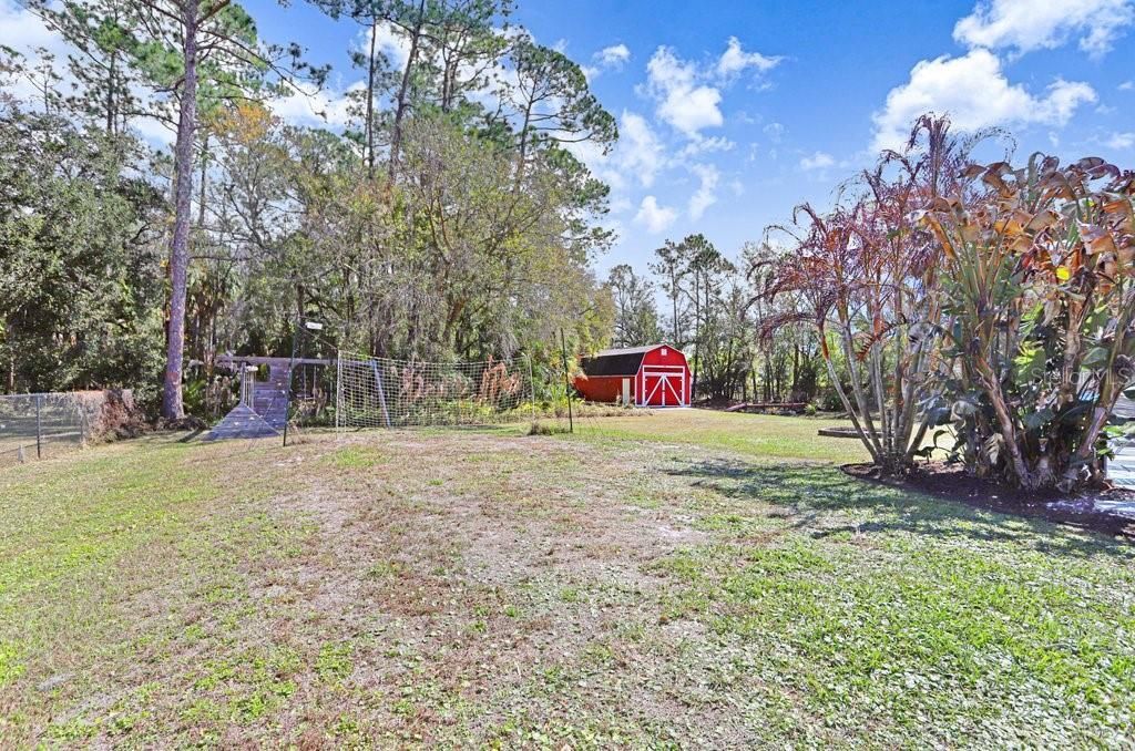 12508 Twin Branch Acres Road, Tampa, FL 33626 Photo