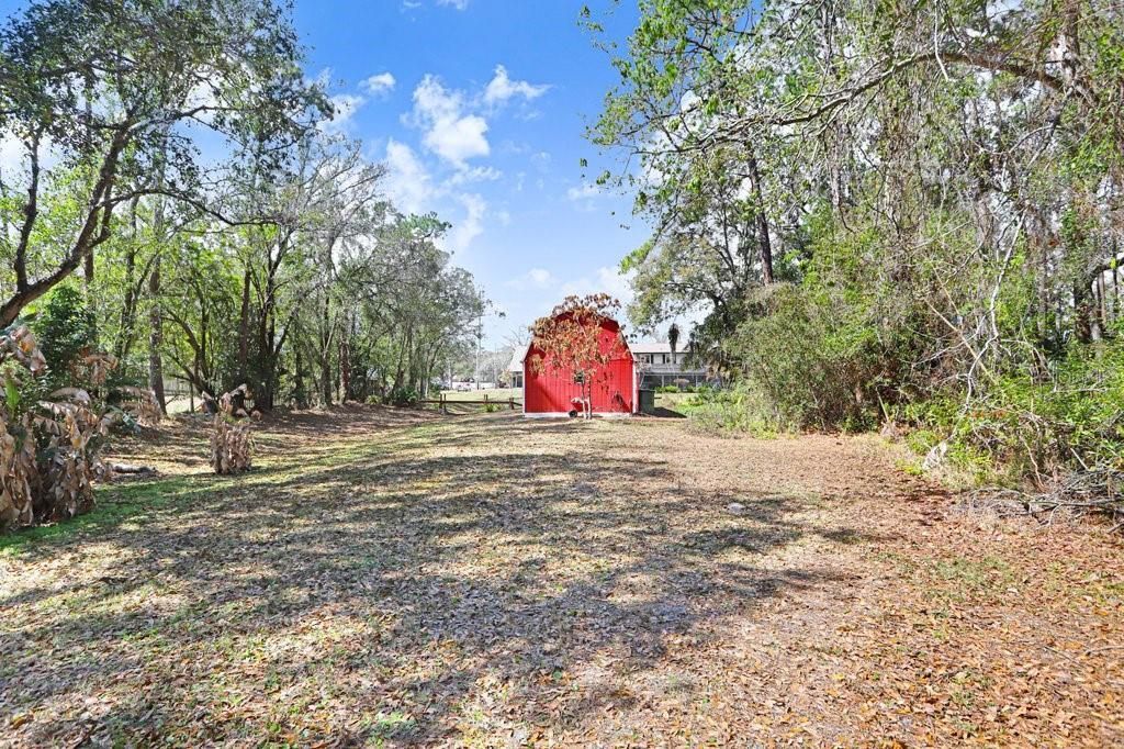 12508 Twin Branch Acres Road, Tampa, FL 33626 Photo