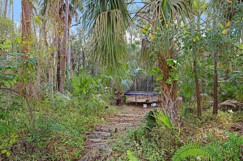 12508 Twin Branch Acres Road, Tampa, FL 33626 Photo