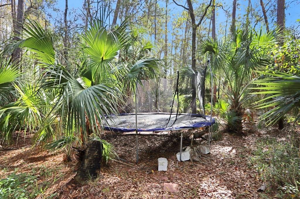 12508 Twin Branch Acres Road, Tampa, FL 33626 Photo