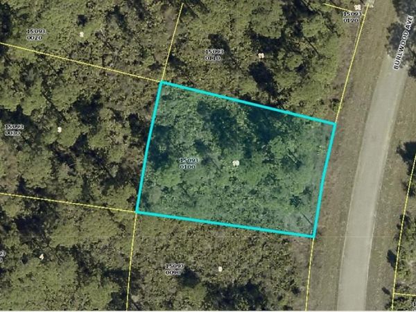 1254 BURLWOOD AVENUE , FORT MYERS, FL 33913